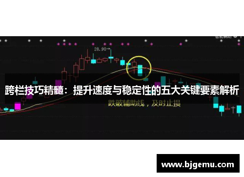 跨栏技巧精髓：提升速度与稳定性的五大关键要素解析